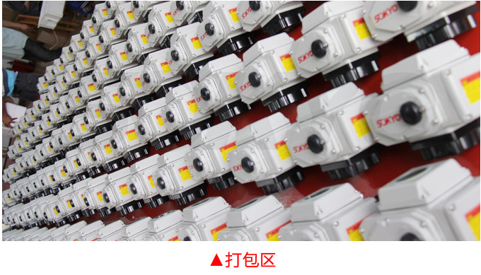 電動(dòng)執(zhí)行機(jī)構(gòu),YTDG-RKB600電動(dòng)執(zhí)行器,電動(dòng)頭物流包裝打包區(qū)