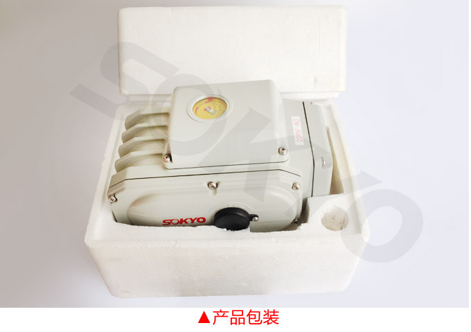 電動(dòng)執(zhí)行器,電動(dòng)頭,YTDG-RS2500電動(dòng)執(zhí)行機(jī)構(gòu)產(chǎn)品包裝