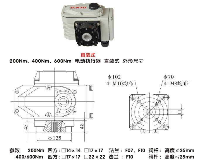 電動執(zhí)行器,電動頭,YTDG-RS400電動執(zhí)行機構(gòu)結(jié)構(gòu)圖,直裝式