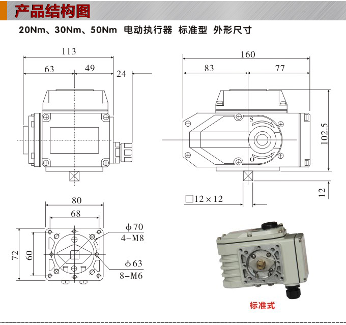 電動執(zhí)行器,電動頭,YTDG-RS50電動執(zhí)行機構結構圖,標準式