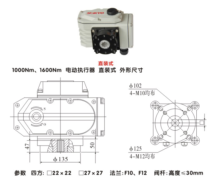 電動(dòng)執(zhí)行機(jī)構(gòu),YTDG-RKB1000電動(dòng)執(zhí)行器,電動(dòng)頭結(jié)構(gòu)圖,直裝式