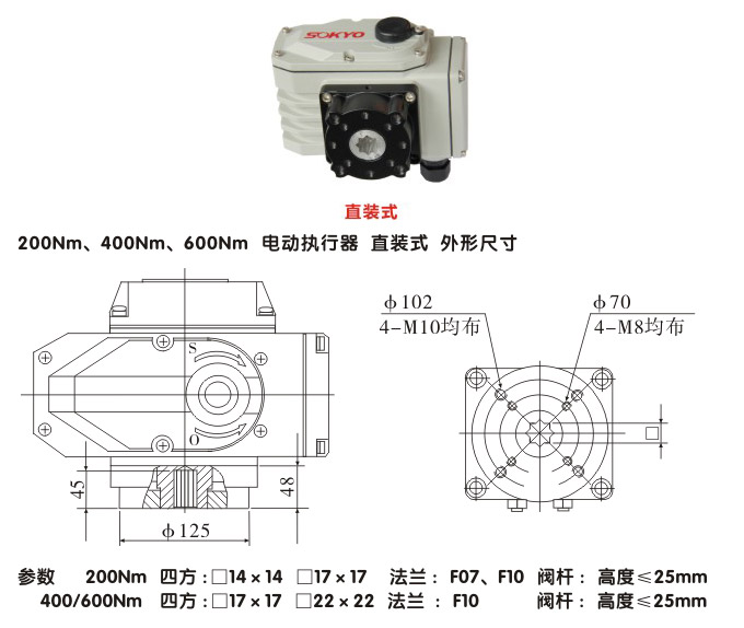 電動(dòng)執(zhí)行機(jī)構(gòu),YTDG-RKB600電動(dòng)執(zhí)行器,電動(dòng)頭結(jié)構(gòu)圖,直裝式