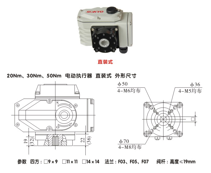 電動執(zhí)行機構,YTDG-RKB50電動執(zhí)行器,電動頭結構圖,直裝式