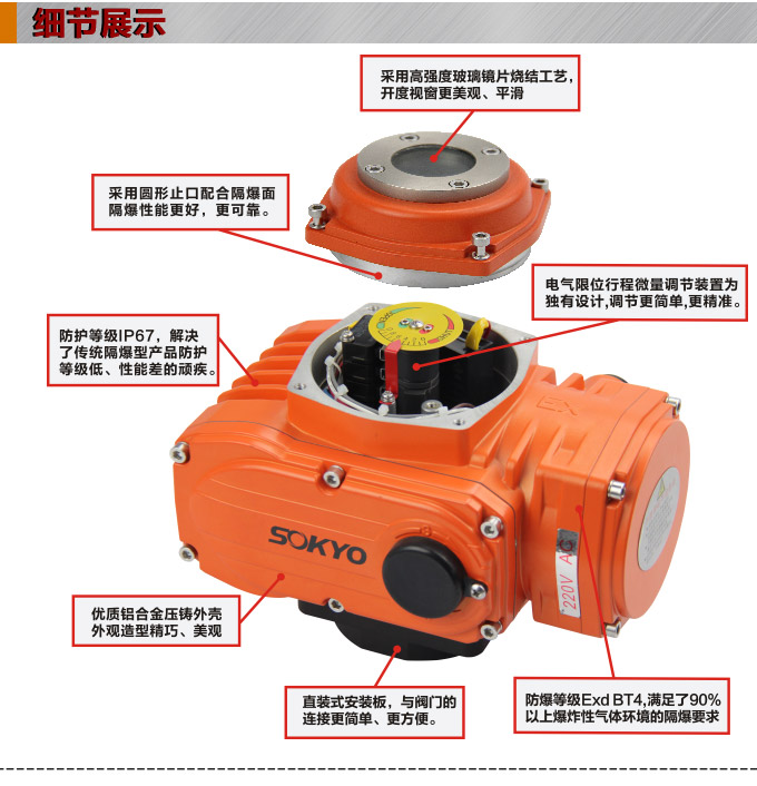 防爆電動頭,YTEx-RS100防爆電動執(zhí)行器細(xì)節(jié)圖1