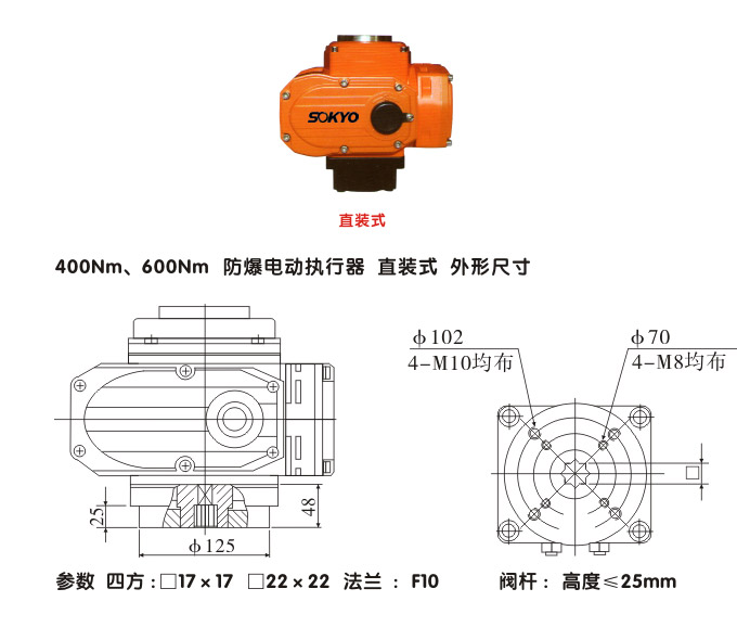 防爆電動頭,YTEx-RKB600防爆電動執(zhí)行器結(jié)構(gòu)圖,直裝式