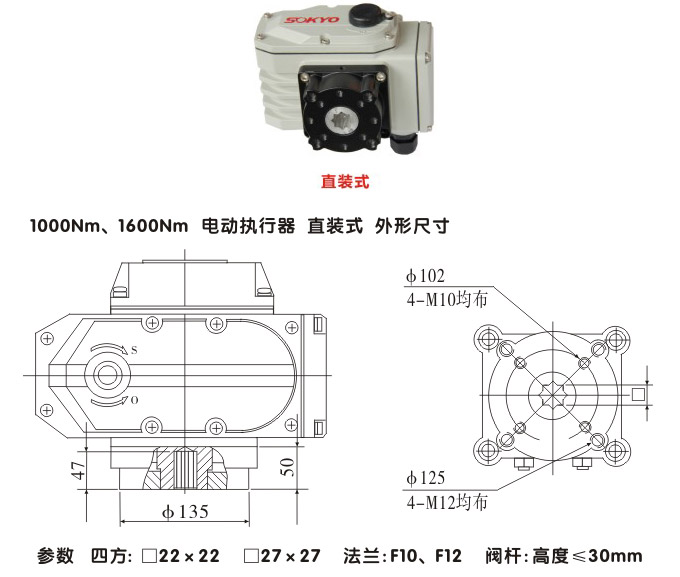 智能電動執(zhí)行器,YTDZ-RS1000智能電動執(zhí)行機構結構圖,直裝式