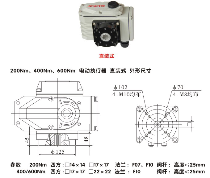 智能電動(dòng)執(zhí)行器,YTDZ-RS200智能電動(dòng)執(zhí)行機(jī)構(gòu)結(jié)構(gòu)圖,直裝式