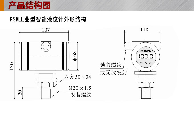 智能液位變送器,RS485智能液位計結(jié)構(gòu)圖